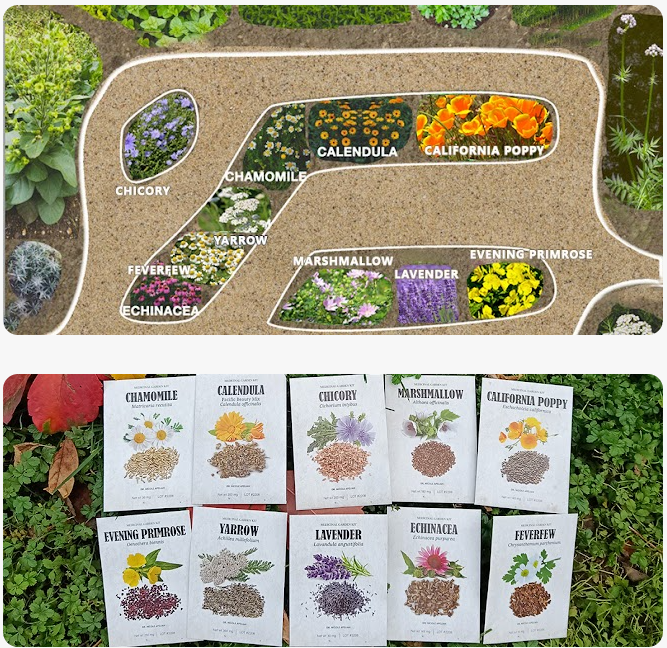 medicinal garden seeds get now- good for health