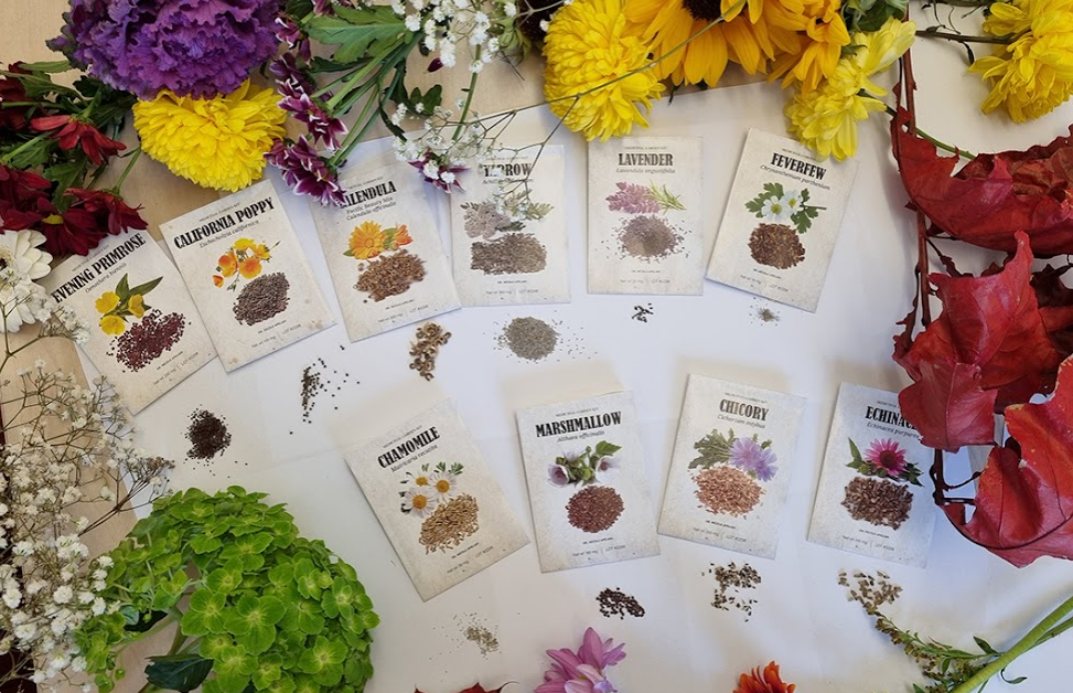 Get Herbal! Your Own Medicinal Garden